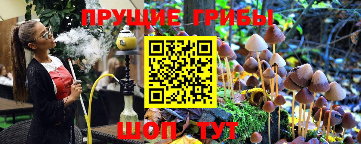 Псилоцибиновые грибы Cubensis  Вход с VPN  Псилоцибиновые грибы Psilocybe  Выборг 
