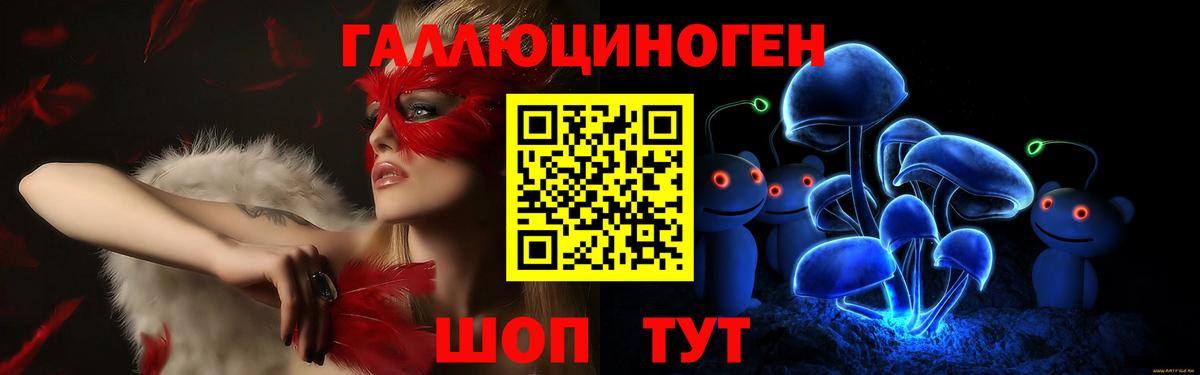 A-PVP Выборг